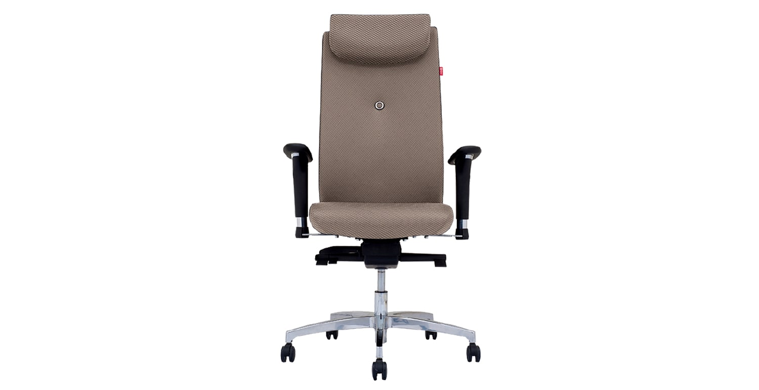 صندلی مدیریتی نیلپر مدل OCM 910